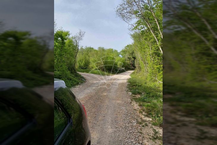 Poljoprivredno zemljište, Prodaja, Krk, Milohnići