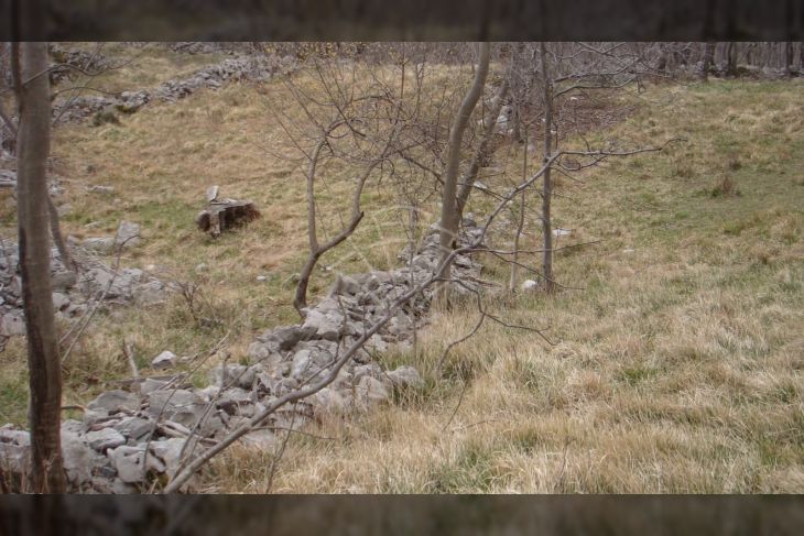 Poljoprivredno zemljište, Prodaja, Jelenje, Podhum