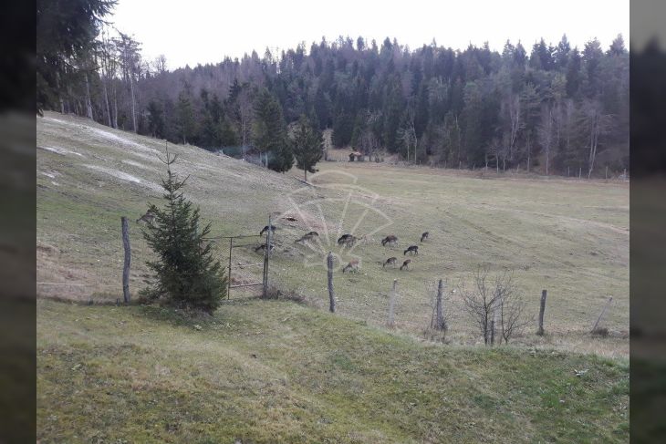 Vikend kuća, Prodaja, Čabar, Gorači