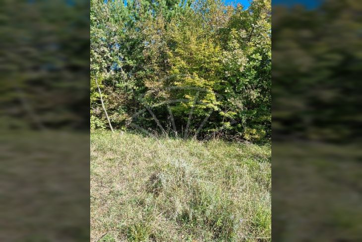 Građevinsko stambeno zemljište, Prodaja, Kostrena, Kostrena Građevinsko stambeno zemljište, Prodaja, Kostrena, Kostrena