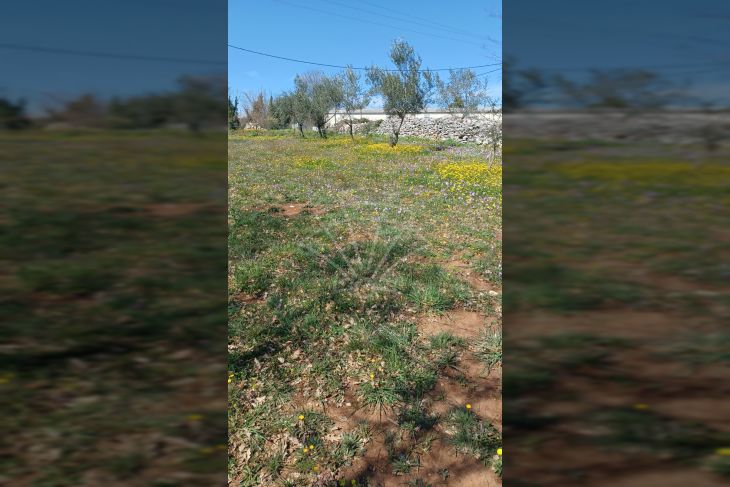 Građevinsko zemljište, Prodaja, Marčana, Divšići Građevinsko zemljište, Prodaja, Marčana, Divšići