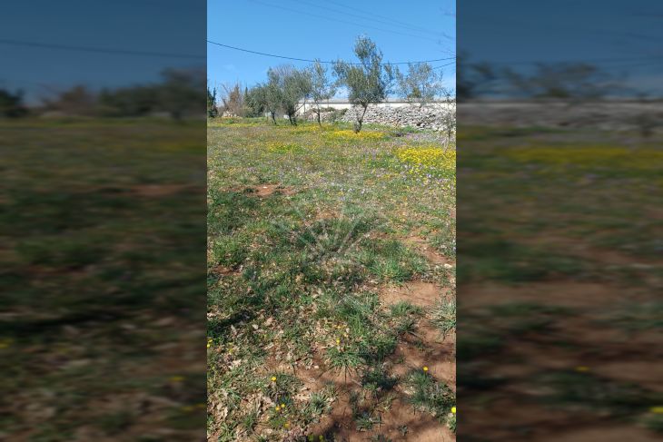 Građevinsko zemljište, Prodaja, Marčana, Divšići