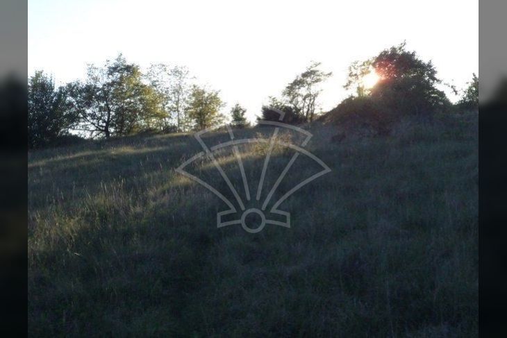 Poljoprivredno zemljište, Prodaja, Motovun, Motovun Poljoprivredno zemljište, Prodaja, Motovun, Motovun
