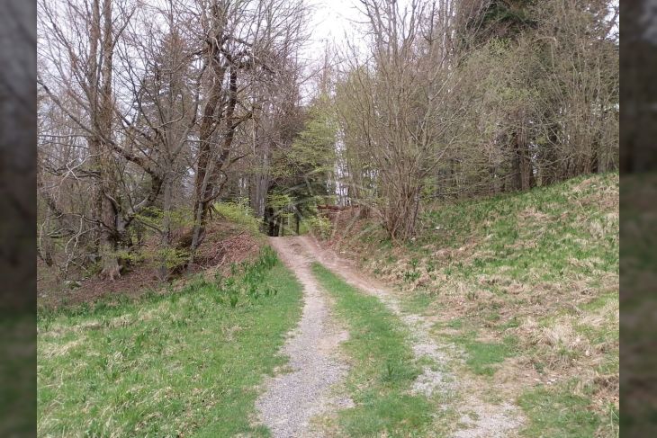 Poljoprivredno zemljište, Prodaja, Delnice, Crni Lug Poljoprivredno zemljište, Prodaja, Delnice, Crni Lug