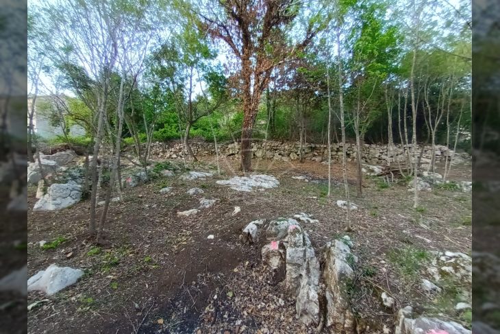 Građevinsko stambeno zemljište, Prodaja, Lupoglav, Lupoglav Građevinsko stambeno zemljište, Prodaja, Lupoglav, Lupoglav