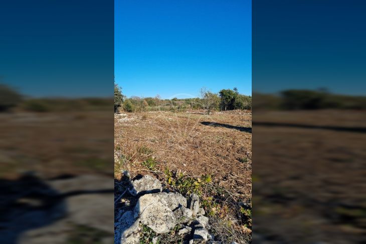 Poljoprivredno zemljište, Prodaja, Marčana, Kavran Poljoprivredno zemljište, Prodaja, Marčana, Kavran