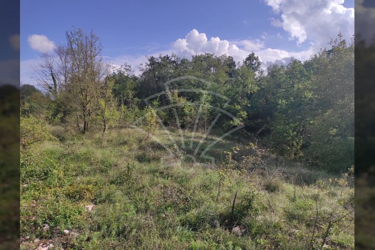 Građevinsko zemljište, Prodaja, Žminj, Žminj Građevinsko zemljište, Prodaja, Žminj, Žminj