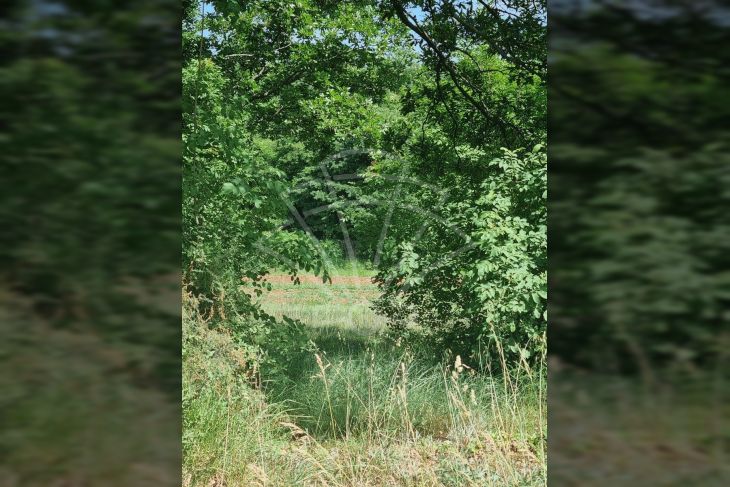 Građevinsko zemljište, Prodaja, Svetvinčenat, Režanci Građevinsko zemljište, Prodaja, Svetvinčenat, Režanci