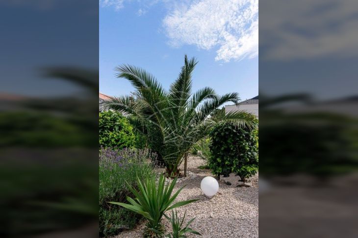 Samostojeća kuća, Prodaja, Crikvenica, Crikvenica Samostojeća kuća, Prodaja, Crikvenica, Crikvenica