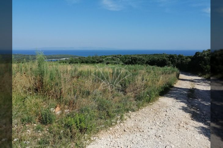 Poljoprivredno zemljište, Prodaja, Marčana, Pavićini