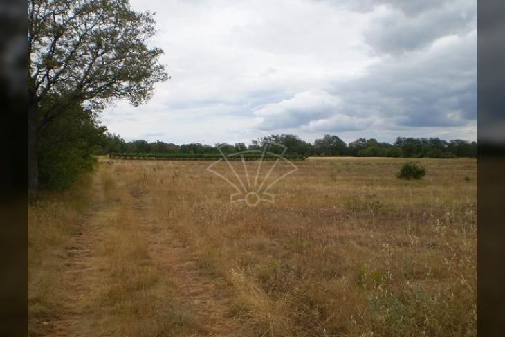 Poljoprivredno zemljište, Prodaja, Svetvinčenat, Raponji