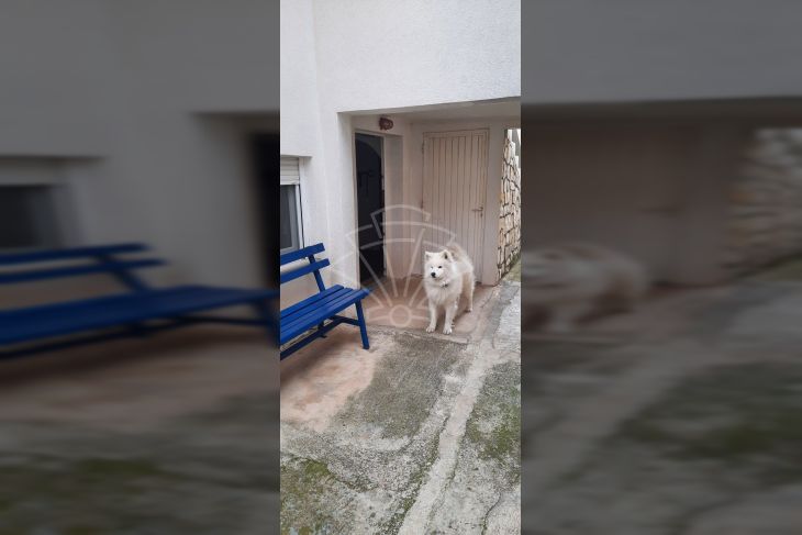 Stan u zgradi, Prodaja, Novi Vinodolski, Novi Vinodolski Stan u zgradi, Prodaja, Novi Vinodolski, Novi Vinodolski