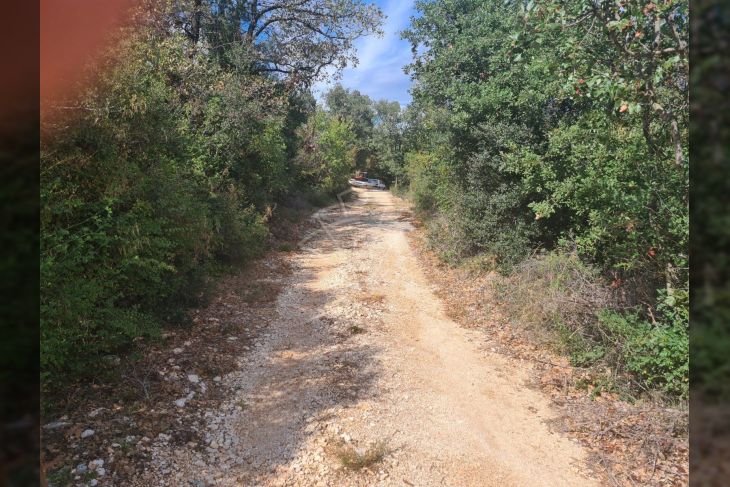 Poljoprivredno zemljište, Prodaja, Rovinj, Rovinjsko Selo Poljoprivredno zemljište, Prodaja, Rovinj, Rovinjsko Selo