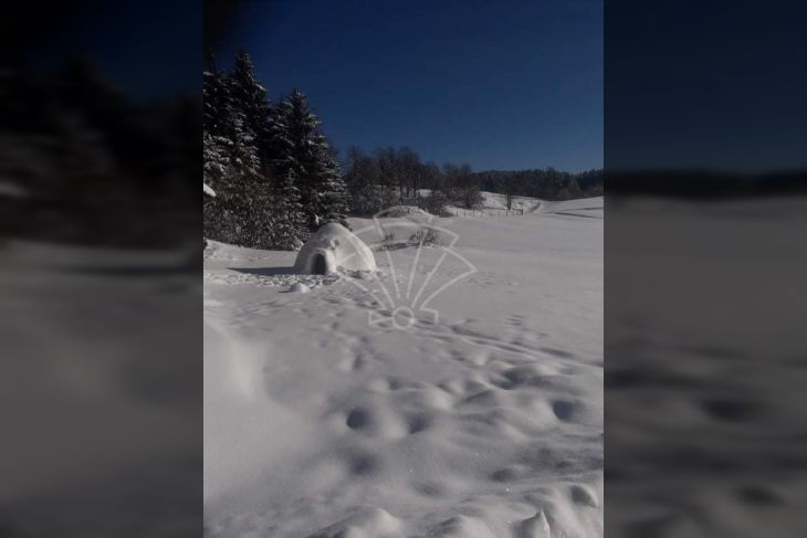 Poljoprivredno zemljište, Prodaja, Čabar, Tršće