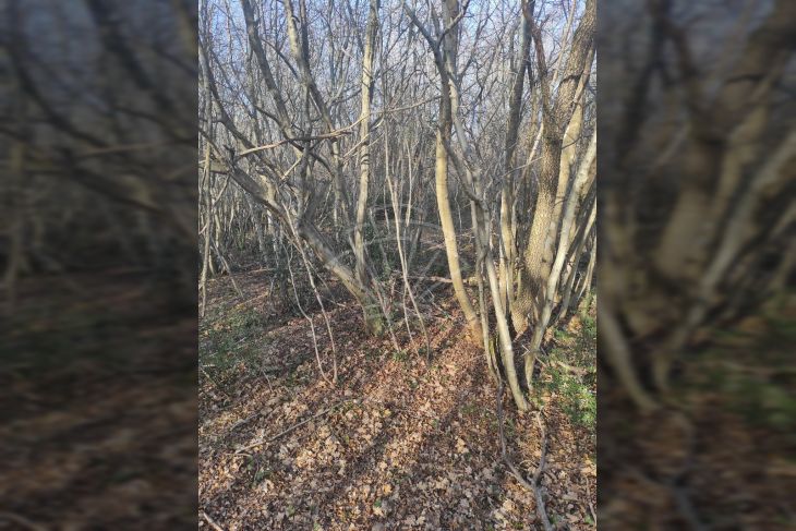 Poljoprivredno zemljište, Prodaja, Barban, Hrboki Poljoprivredno zemljište, Prodaja, Barban, Hrboki