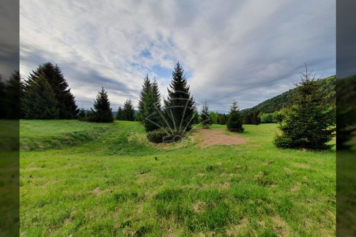 Poljoprivredno zemljište, Prodaja, Ravna gora, Ravna Gora Poljoprivredno zemljište, Prodaja, Ravna gora, Ravna Gora