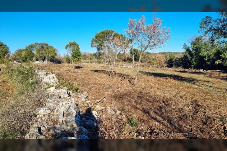 Poljoprivredno zemljište, Prodaja, Marčana, Kavran Poljoprivredno zemljište, Prodaja, Marčana, Kavran