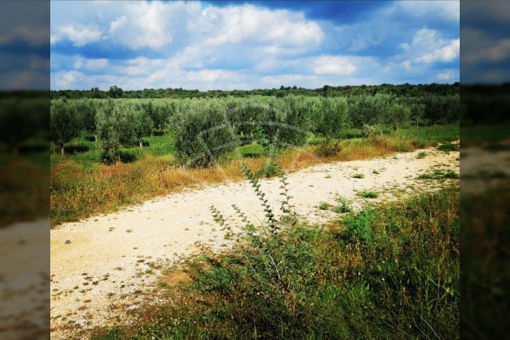 Građevinsko mješovito, Prodaja, Poreč, Poreč Građevinsko mješovito, Prodaja, Poreč, Poreč