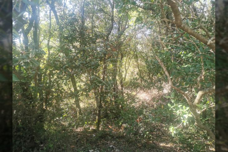 Poljoprivredno zemljište, Prodaja, Marčana, Marčana Poljoprivredno zemljište, Prodaja, Marčana, Marčana