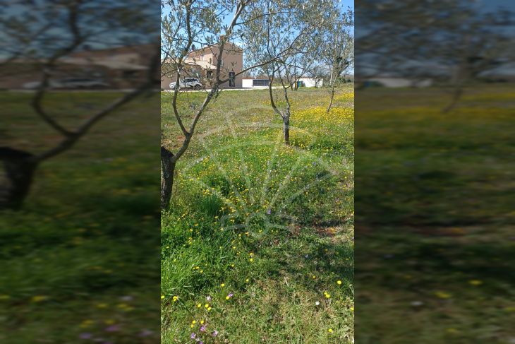 Građevinsko zemljište, Prodaja, Marčana, Divšići Građevinsko zemljište, Prodaja, Marčana, Divšići