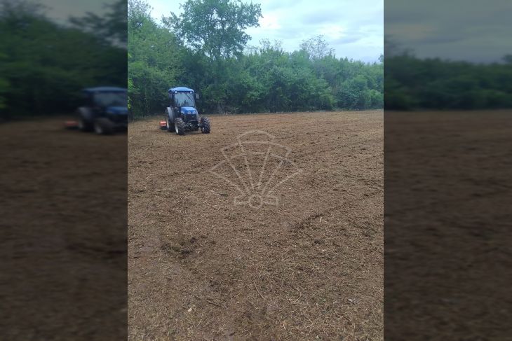 Građevinsko stambeno zemljište, Prodaja, Višnjan, Višnjan