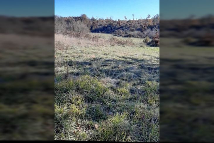 Poljoprivredno zemljište, Prodaja, Kanfanar, Barat