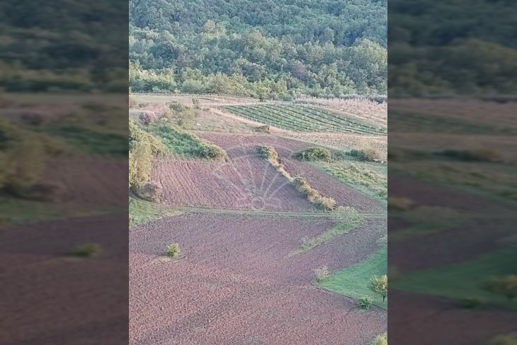 Poljoprivredno zemljište, Prodaja, Cerovlje, Draguć Poljoprivredno zemljište, Prodaja, Cerovlje, Draguć
