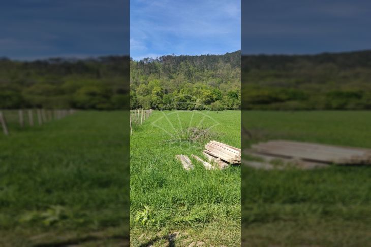 Poljoprivredno zemljište, Prodaja, Matulji, Pasjak