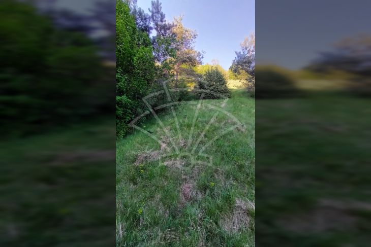 Poljoprivredno zemljište, Prodaja, Matulji, Šapjane Poljoprivredno zemljište, Prodaja, Matulji, Šapjane