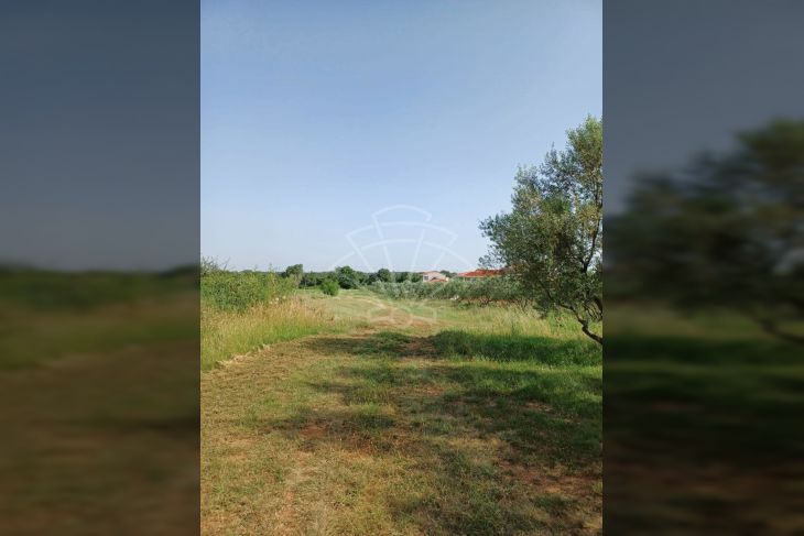Građevinsko mješovito, Prodaja, Svetvinčenat, Smoljanci Građevinsko mješovito, Prodaja, Svetvinčenat, Smoljanci