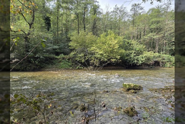 Poljoprivredno zemljište, Prodaja, Vrbovsko, Vrbovsko