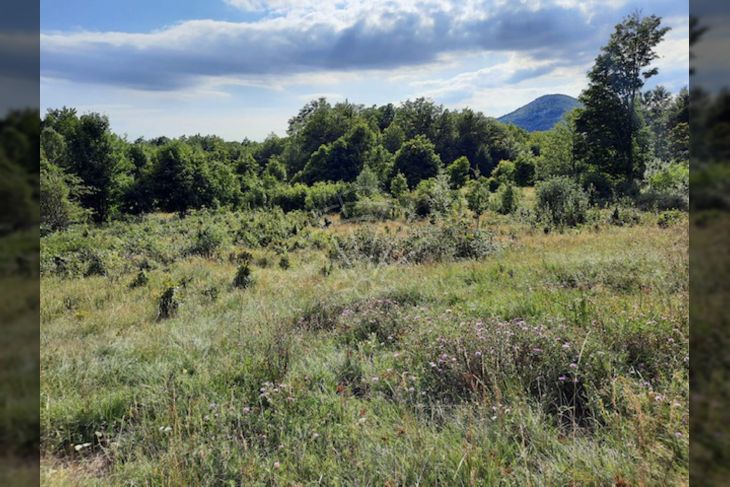 Građevinsko mješovito, Prodaja, Fužine, Lič