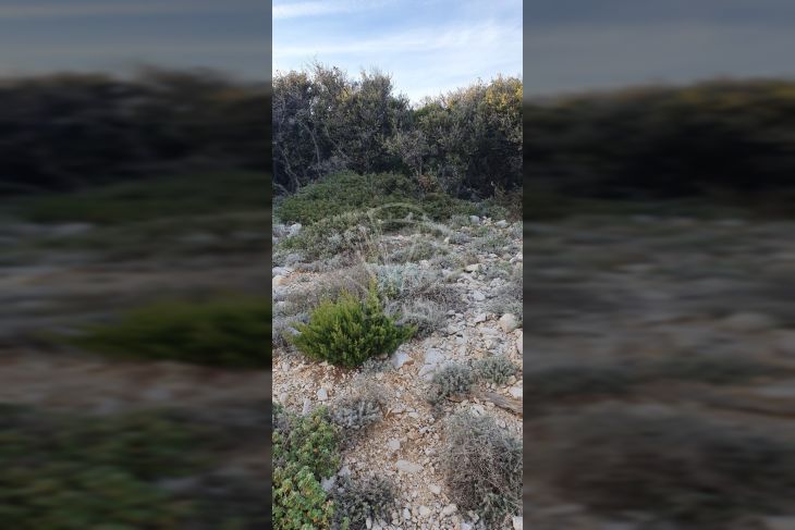 Građevinsko zemljište, Prodaja, Cres, Martinšćica Građevinsko zemljište, Prodaja, Cres, Martinšćica