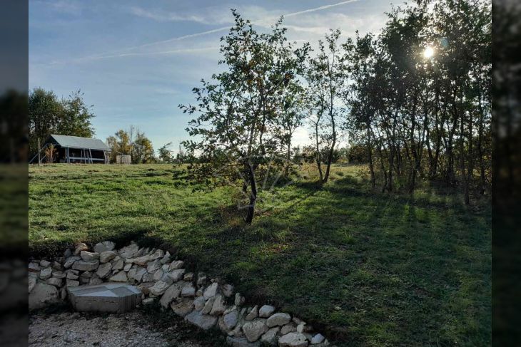 Poljoprivredno zemljište, Prodaja, Svetvinčenat, Foli Poljoprivredno zemljište, Prodaja, Svetvinčenat, Foli