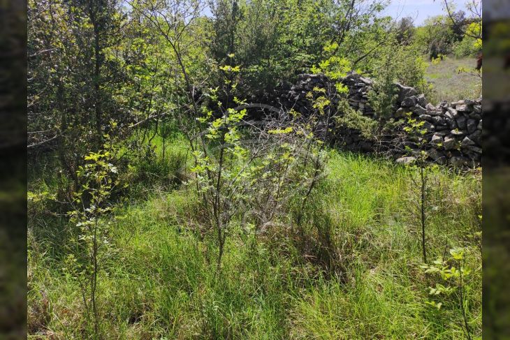 Oranica, Prodaja, Marčana, Rakalj Oranica, Prodaja, Marčana, Rakalj