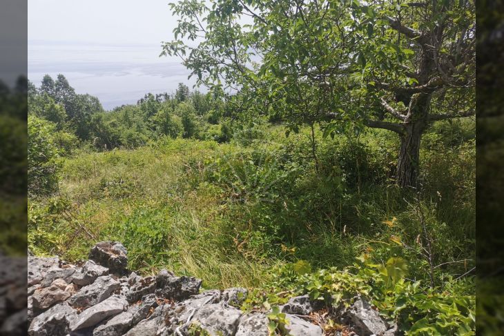 Građevinsko zemljište, Prodaja, Mošćenička draga, Sveti Anton