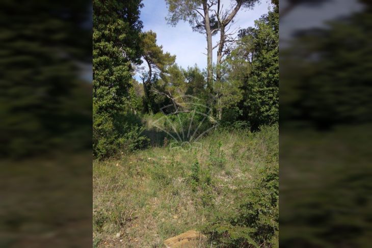 Poljoprivredno zemljište, Prodaja, Svetvinčenat, Štokovci Poljoprivredno zemljište, Prodaja, Svetvinčenat, Štokovci