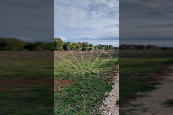 Poljoprivredno zemljište, Prodaja, Ližnjan, Šišan Poljoprivredno zemljište, Prodaja, Ližnjan, Šišan