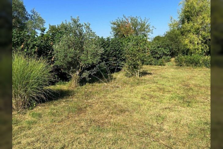 Poljoprivredno zemljište, Prodaja, Pula, Pula Poljoprivredno zemljište, Prodaja, Pula, Pula