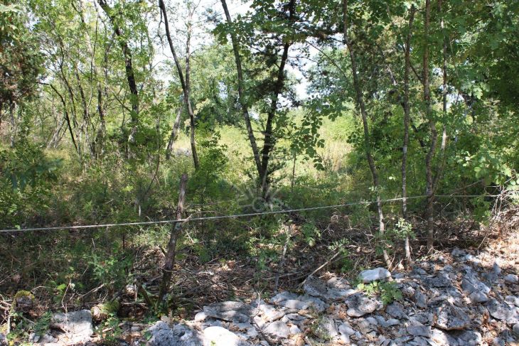 Poljoprivredno zemljište, Prodaja, Marčana, Orbanići Poljoprivredno zemljište, Prodaja, Marčana, Orbanići