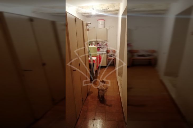 Dvojna kuća, Prodaja, Kaštelir-Labinci, Labinci Dvojna kuća, Prodaja, Kaštelir-Labinci, Labinci