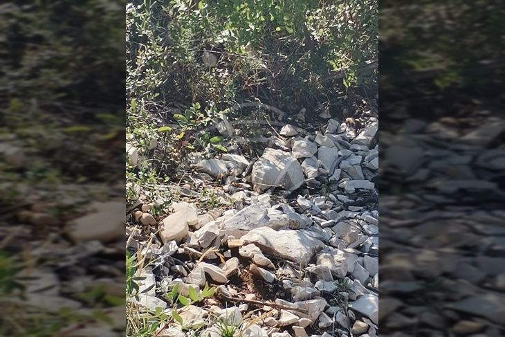 Poljoprivredno zemljište, Prodaja, Marčana, Krnica Poljoprivredno zemljište, Prodaja, Marčana, Krnica