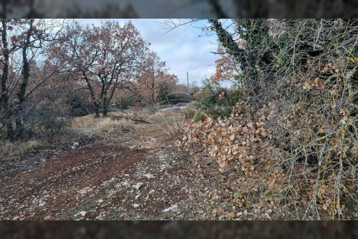 Poljoprivredno zemljište, Prodaja, Svetvinčenat, Smoljanci Poljoprivredno zemljište, Prodaja, Svetvinčenat, Smoljanci