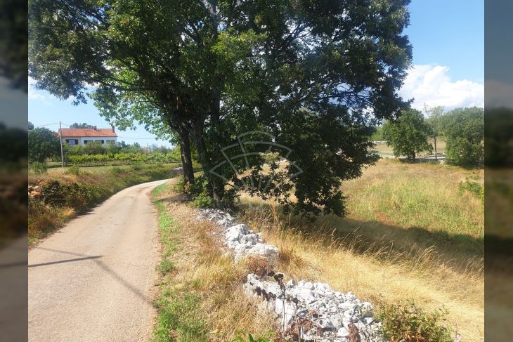 Građevinsko zemljište, Prodaja, Pićan, Sveta Katarina