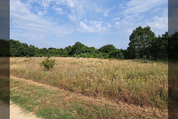 Poljoprivredno zemljište, Prodaja, Poreč, Montižana