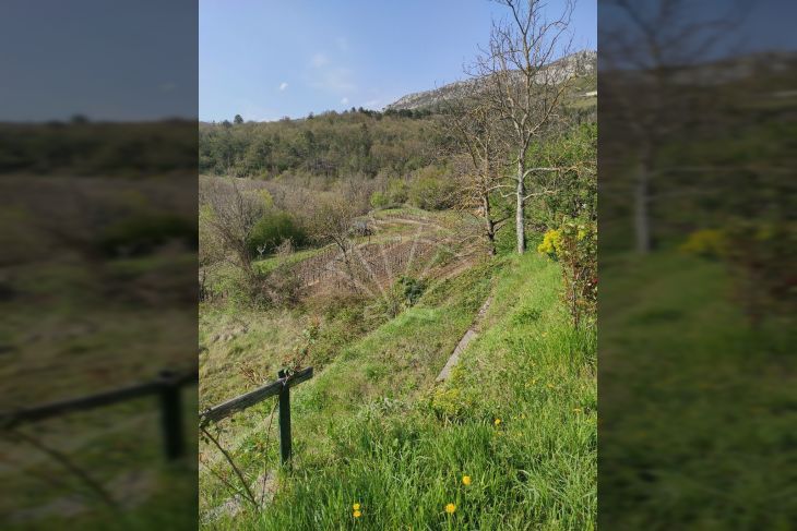 Građevinsko zemljište, Prodaja, Buzet, Sveti Martin Građevinsko zemljište, Prodaja, Buzet, Sveti Martin