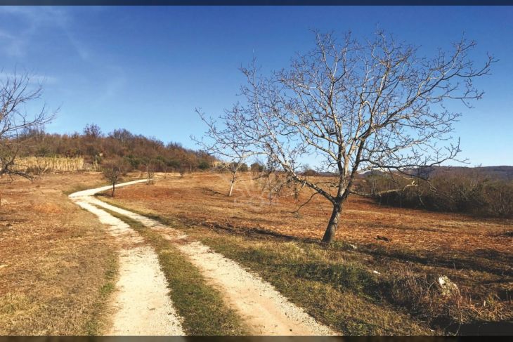 Zemljište - ostalo, Prodaja, Grožnjan, Grožnjan