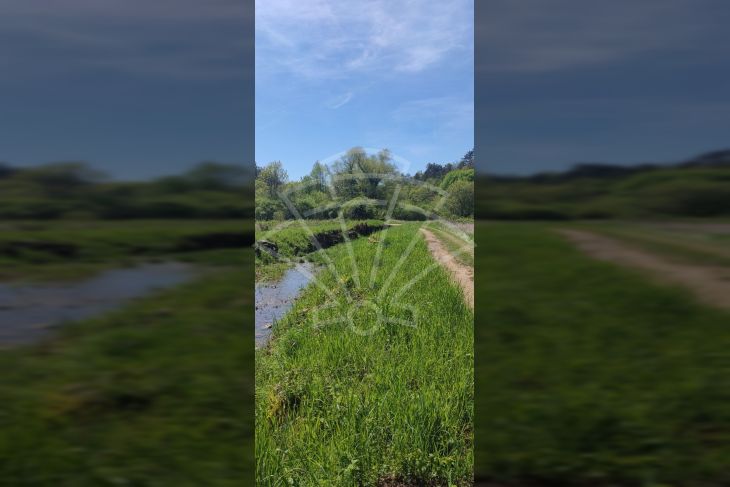 Poljoprivredno zemljište, Prodaja, Matulji, Pasjak Poljoprivredno zemljište, Prodaja, Matulji, Pasjak