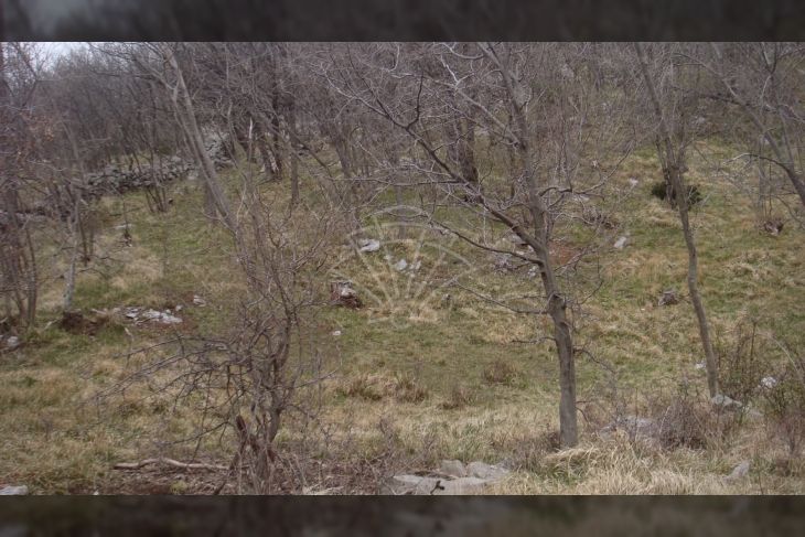 Poljoprivredno zemljište, Prodaja, Jelenje, Podhum