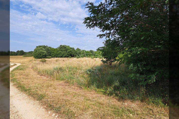 Poljoprivredno zemljište, Prodaja, Poreč, Montižana Poljoprivredno zemljište, Prodaja, Poreč, Montižana